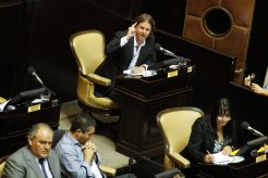 Castillo: "El proyecto del massismo para limitar reelecciones de intendentes es pura pirotecnia electoral" 