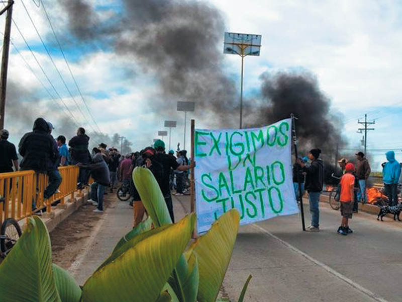 México: jornaleros de San Quintín son reprimidos por el gobierno