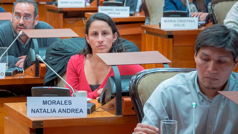 Legislatura de Jujuy: el oficialismo se negó a debatir con el movimiento de mujeres un plan de emergencia contra la violencia de género