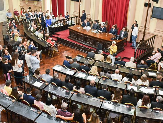 Daniela Planes: " Sáenz propone la reforma constitucional a medida de la casta política"