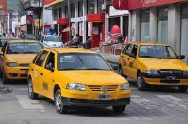 Remy: “La licitación de licencias de taxi puso a la luz el trabajo no registrado en el sector”