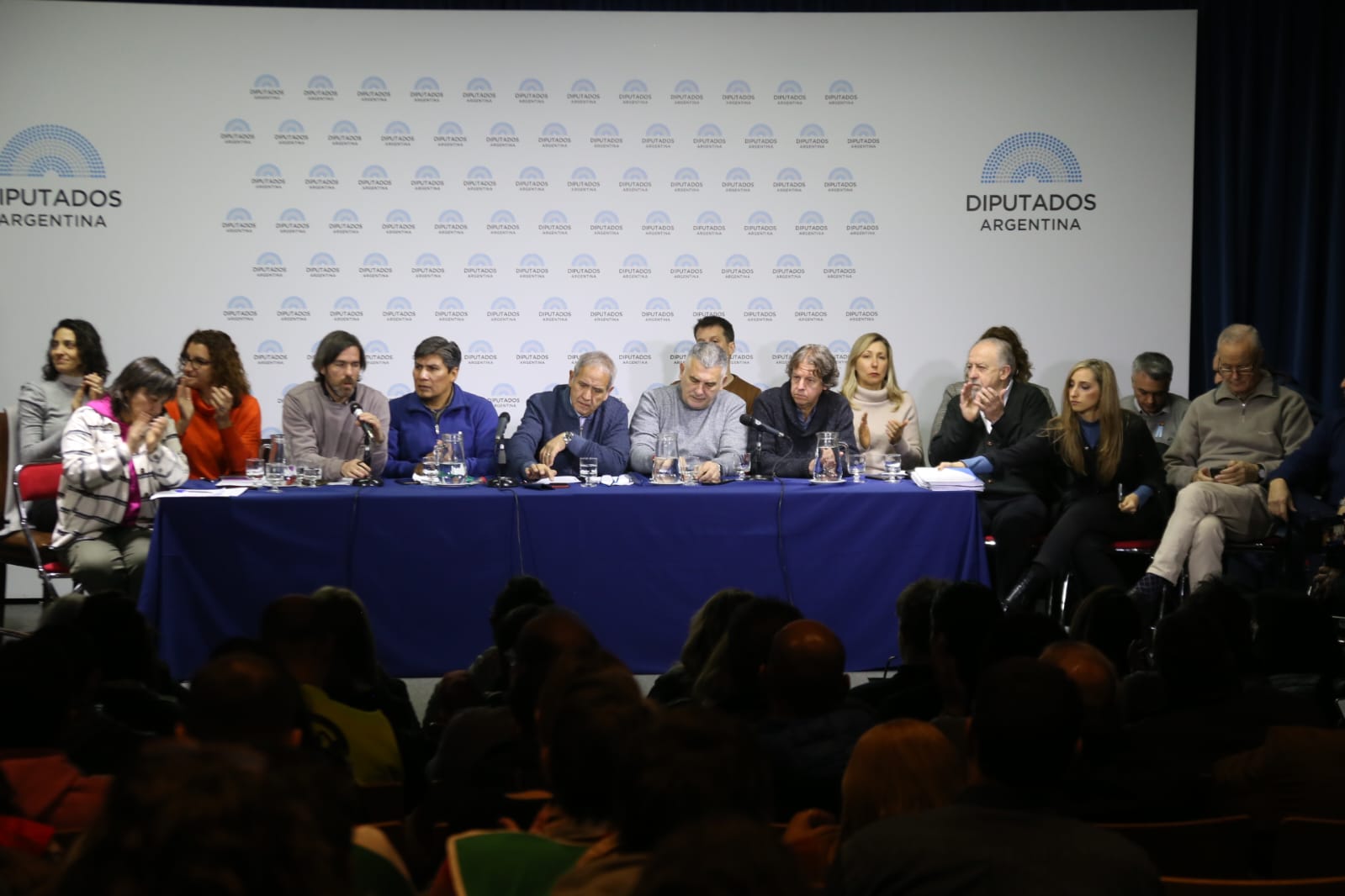 Importante audiencia: despedidos de todo el país expusieron en Diputados convocados por distintos bloques 