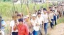 En Bolivia la VII marcha indígena reclama derechos nacionales