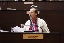 Raúl Godoy solicitará el tratamiento sobre tablas de los proyectos contra los despidos en MAM S.A.