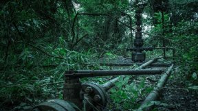 Solicitan que la Legislatura rechace el decreto que afecta al Parque Nacional Calilegua por ser ilegal