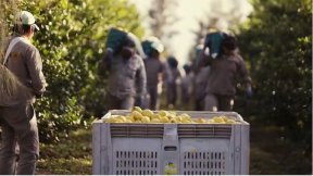 El FIT convoca a la presentación de proyecto de Ley para trabajadores rurales de todo el país