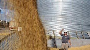 El paro aceitero desafía el techo salarial