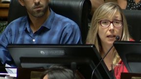 Bregman cuestionó a Cambiemos por represión en Congreso y pidió interpelación al ministro Ocampo