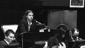 Christian Castillo, tribuno de la lucha docente en la Legislatura
