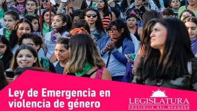 Convocan a audiencia pública por la ley de Emergencia en Violencia de Género