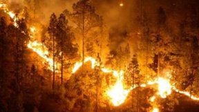 Hernán Puddu sobre los incendios en Córdoba: "De La Sota es responsable"