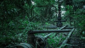 Solicitan que la Legislatura rechace el decreto que afecta al Parque Nacional Calilegua por ser ilegal