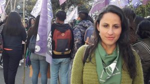 “Jujuy tiene una de las más altas tasas de femicidios pero sólo cuenta con 5 refugios para las víctimas”