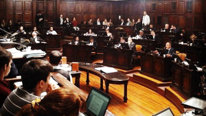 Sesión especial para discutir plan contra la violencia de género