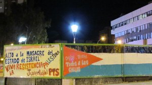 Lunes, 18 h.: Marcha en Neuquén contra masacre de Israel al pueblo palestino